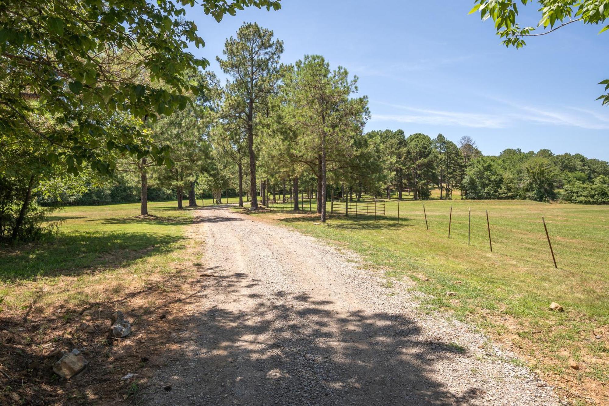 Spring Hill Farm - The Happy Hound Alma Exterior foto